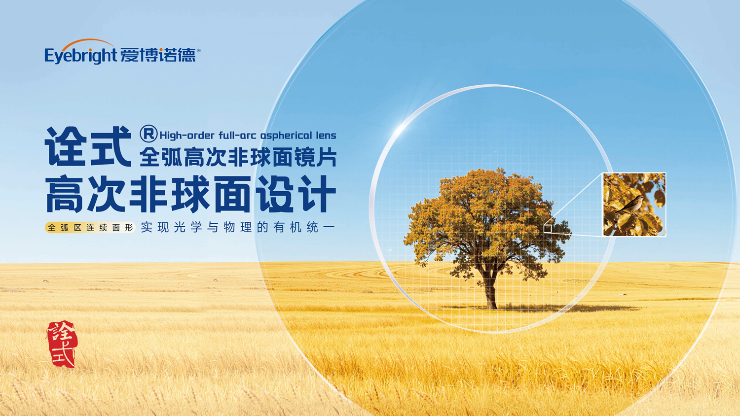 产品描述图.jpg